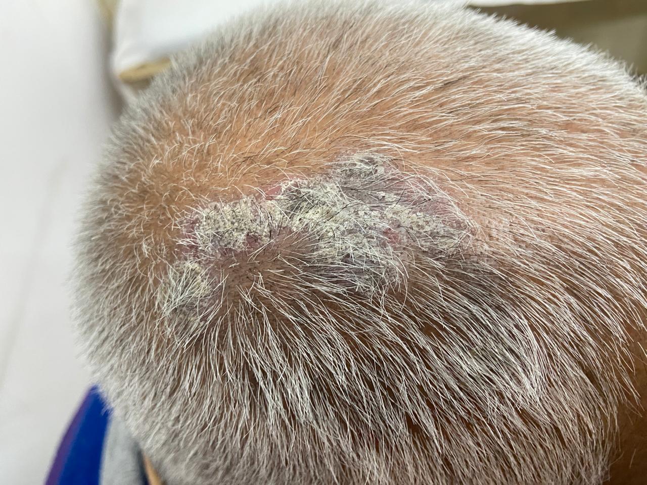 WhatsApp Image 2026 02 22 At 11.51.39 AM